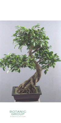 Kunstbaum - Bonsai ficus folia