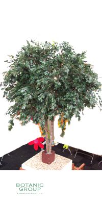 Kunstbaum - Ficus