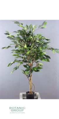 Kunstbaum - Ficus Benjamini Lianen