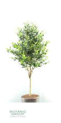 Kunstbaum - Olivenbaum mit Oliven im Kunststoffgefäß