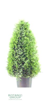 Kunstbaum - Zypresse topiary