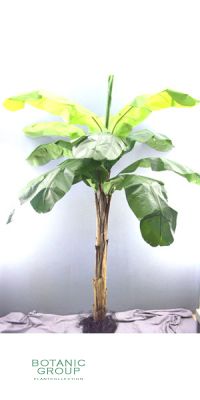 Kunstpalme - Bananenbaum