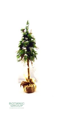 Kunstbaum - Salt Lake City Weihnachtsbaum mit Schnee
