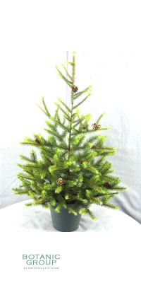 Künstlicher Weihnachtsbaum mit Zapfen und Topf
