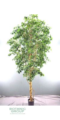 Kunstbaum - Ficus Lianen, Baum