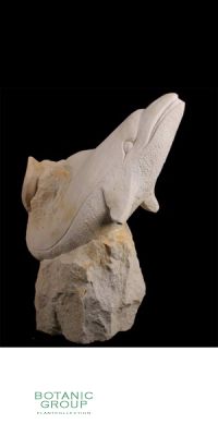 Naturstein - Skulptur Wasserspiel Delfin an der Welle