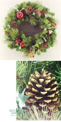 Weihnachtsdekoration - Weihnachtskranz, Zapfen, Rote Beeren, Zwe