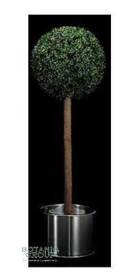 Kunstpflanze - Kugel Buchsbaum