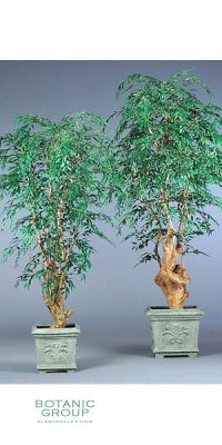 Kunstpflanze - Ficus knorriger Stamm