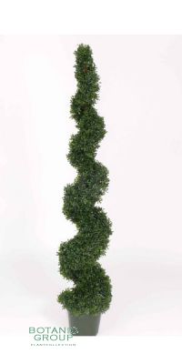 Kunstpflanze - Buchsbaum, Buxus Spirale