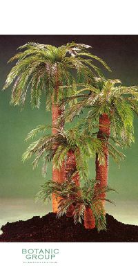 Kunstpflanze - Cycas Palme