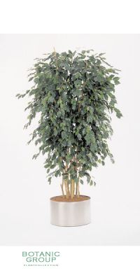 Kunstpflanze - Ficus exotica delux