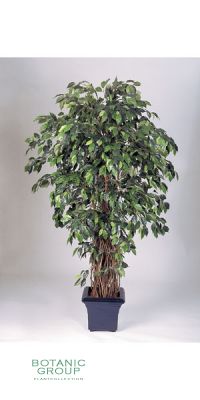 Kunstpflanze - Ficus Liana deluxe