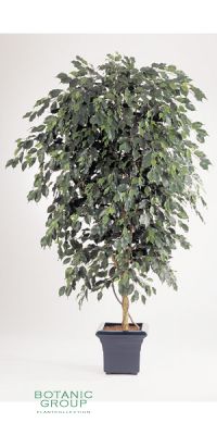 Kunstpflanze - Ficus deluxe