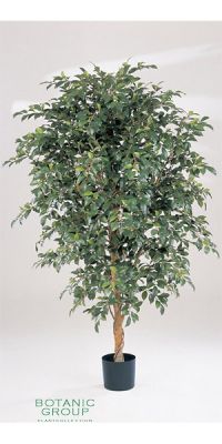 Kunstpflanze - Ficus folia