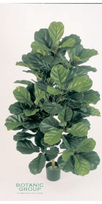 Kunstpflanze - Ficus Lyrata Busch