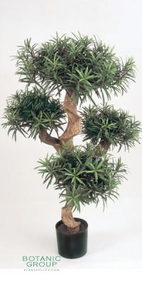 Kunstpflanze - Podocarpus bonsai III