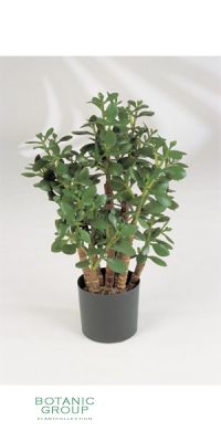 Kunstpflanze - Crassula arborescens
