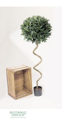 Kunstpflanze - Laurus nobillis spiral