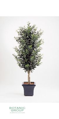 Kunstpflanze - Olea europea