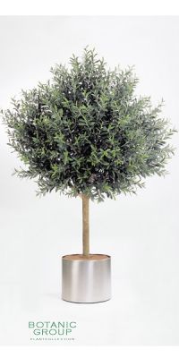 Kunstpflanze - Olea europea II