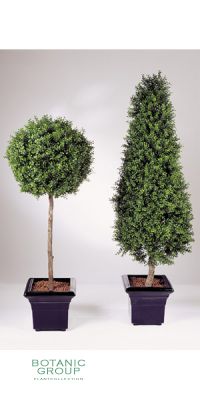 Kunstpflanze - Buchsbaum, Säule