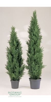 Artificial plant - Mini Cedar