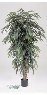 Kunstpflanze - Ficus longfolia liana