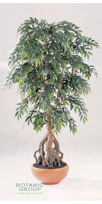 Kunstpflanze - French Ficus