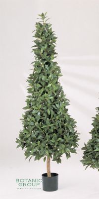 Kunstpflanze - Laurus nobillis pyramidal