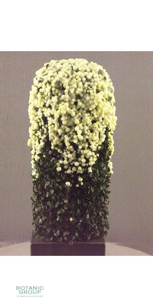 Artificial plant - buxus pillar  - iced