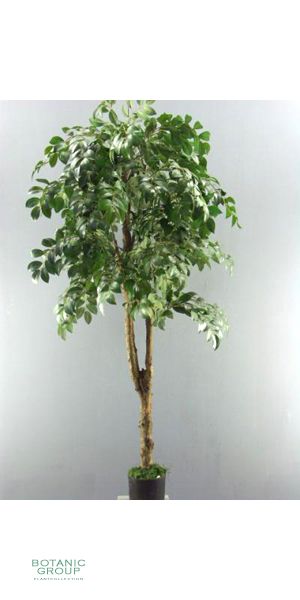 Artificial Tree -sakaki