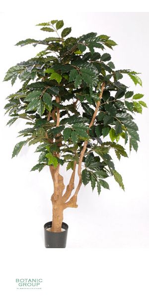 Artificial Tree - coffee tree stronk