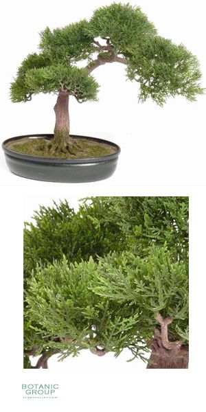 Artificial Bonsai - bonsai ceder