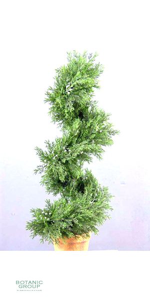 Kunstbaum - Zypresse, spiralform