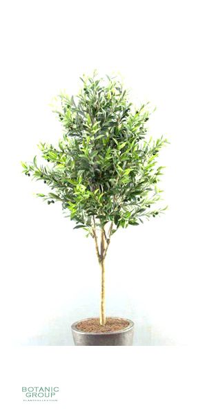 Artificial plant - olive tree with olives in plastic pot