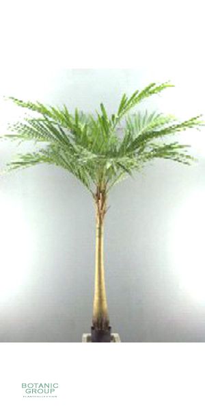 Artificial Palms - King palm