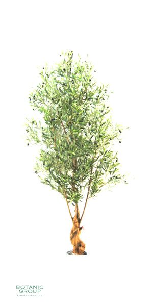 Kunstbaum - Olivenbaum