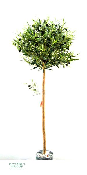Kunstbaum - Olivenbaum
