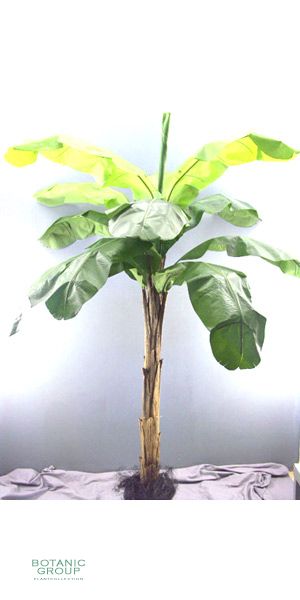 Kunstpalme - Bananenbaum