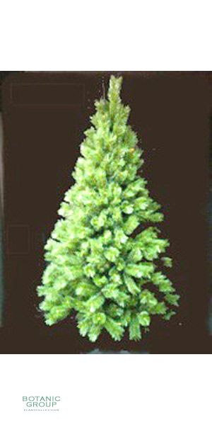 Plastic christmas tree Verbier