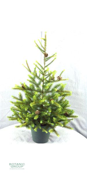 Künstlicher Weihnachtsbaum mit Zapfen und Topf