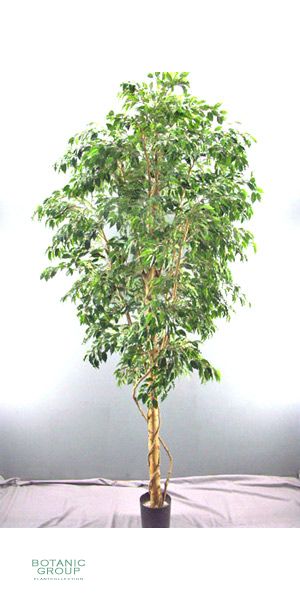Artificial plant - Ficus Lianen