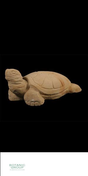 Stone - Sculptures turtle small