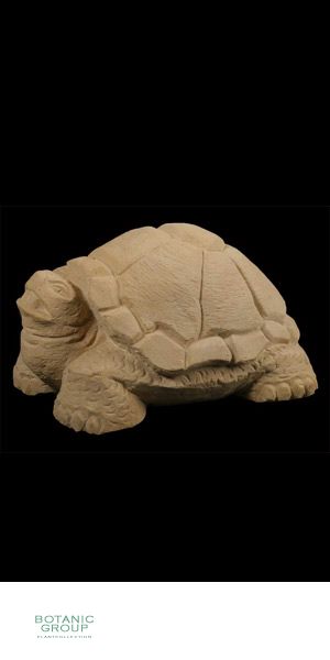 Stone - Sculptures turtle great
