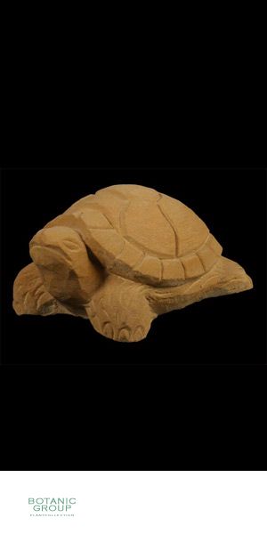 Stone - Sculptures turtle means