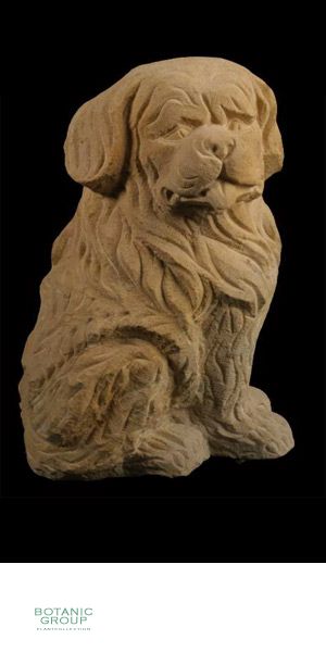 Stone - Sculptures Dog