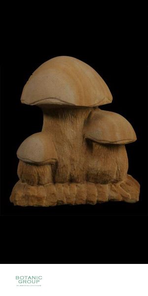 Stone - Sculptures mushroom group 3-fold