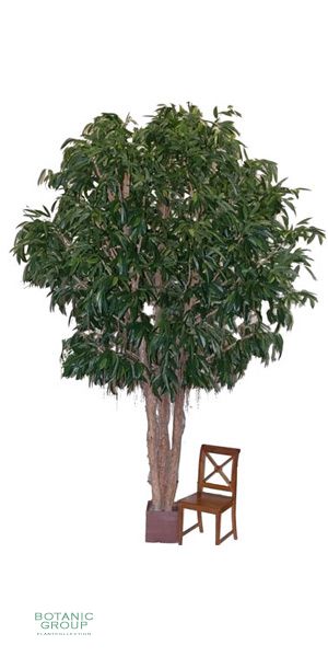 Artificial tree - Ficus longifolia