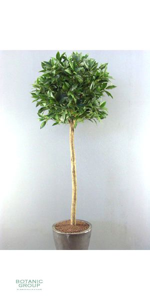 Artificial plant - laurelball darkgreen